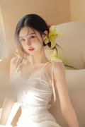 49图库绿色版app下载安拆