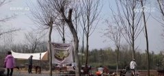 “春日经济”叠加户外“慢糊口” 多元消费体验
